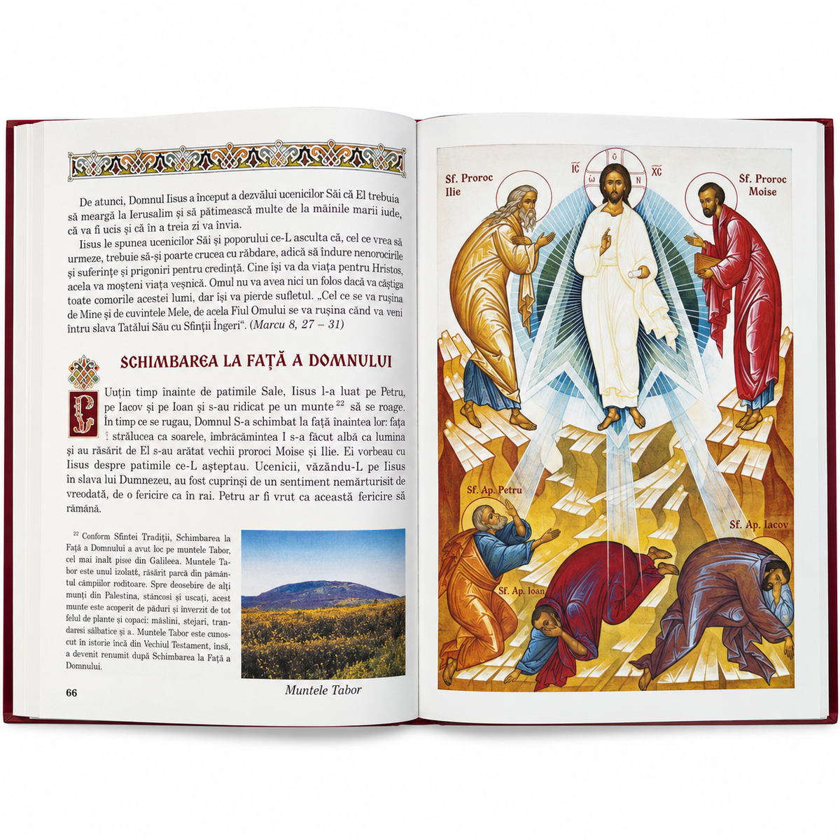 Biblia pentru Copii – Carte Ortodoxa Ilustrata cu Icoane si Invataturi Crestine, 20x26 cm
